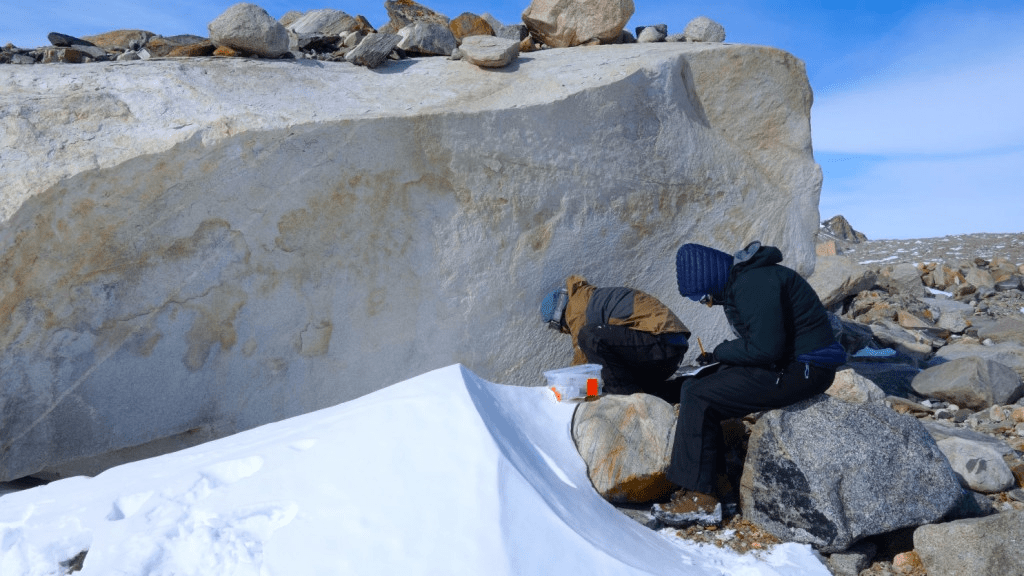 MICROBIAN: The tiny life forms of Antarctica’s Sør Rondane Mountains